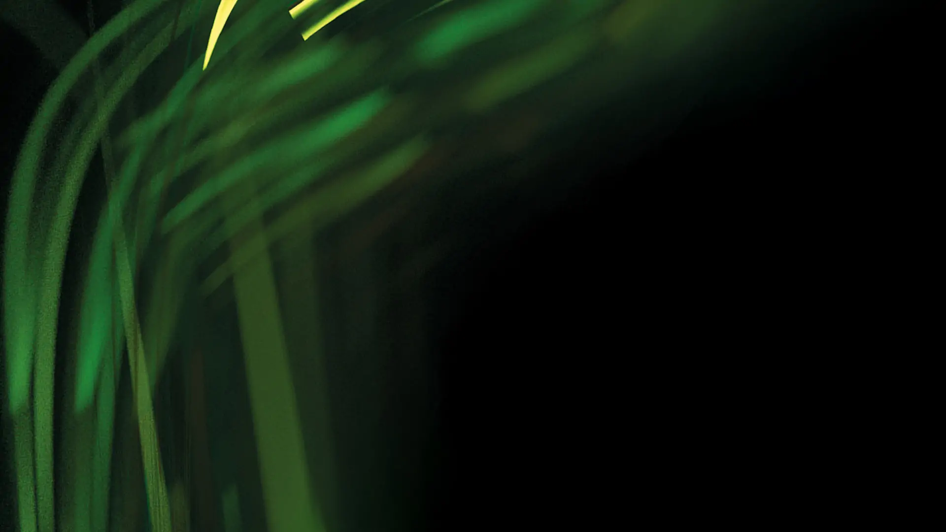 Background_flow_logo_website_small-stage_v4